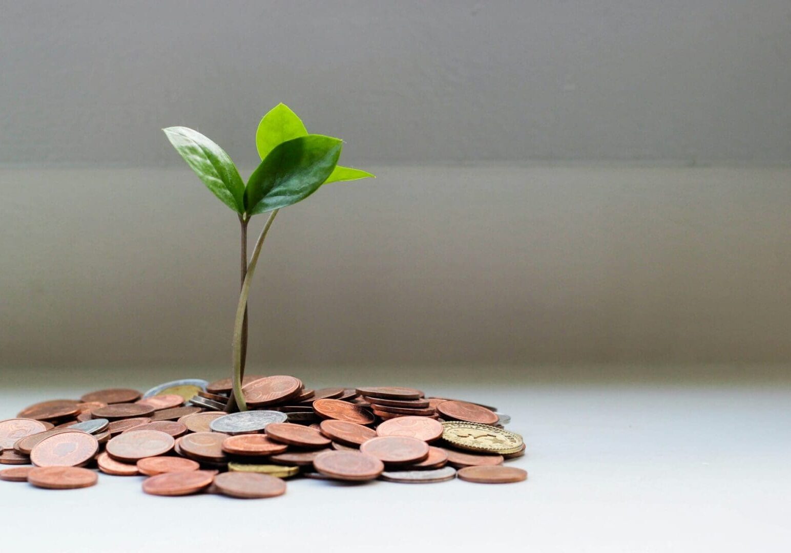 Small green sprout growing from a pile of coins, symbolizing how consistent IRA contributions can grow into long-term retirement savings.